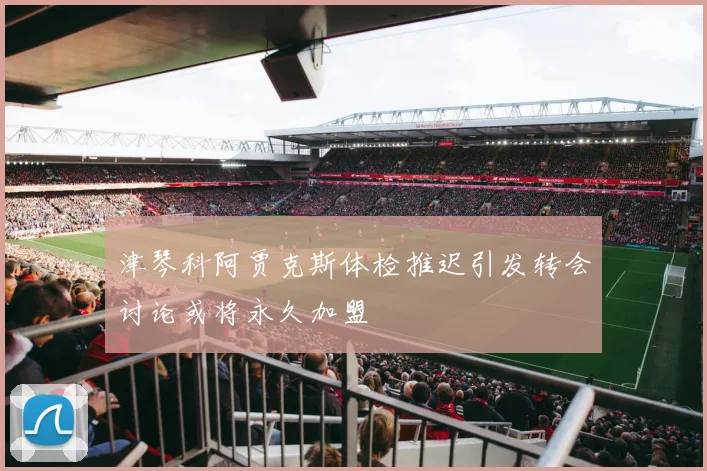津琴科阿贾克斯体检推迟引发转会讨论或将永久加盟